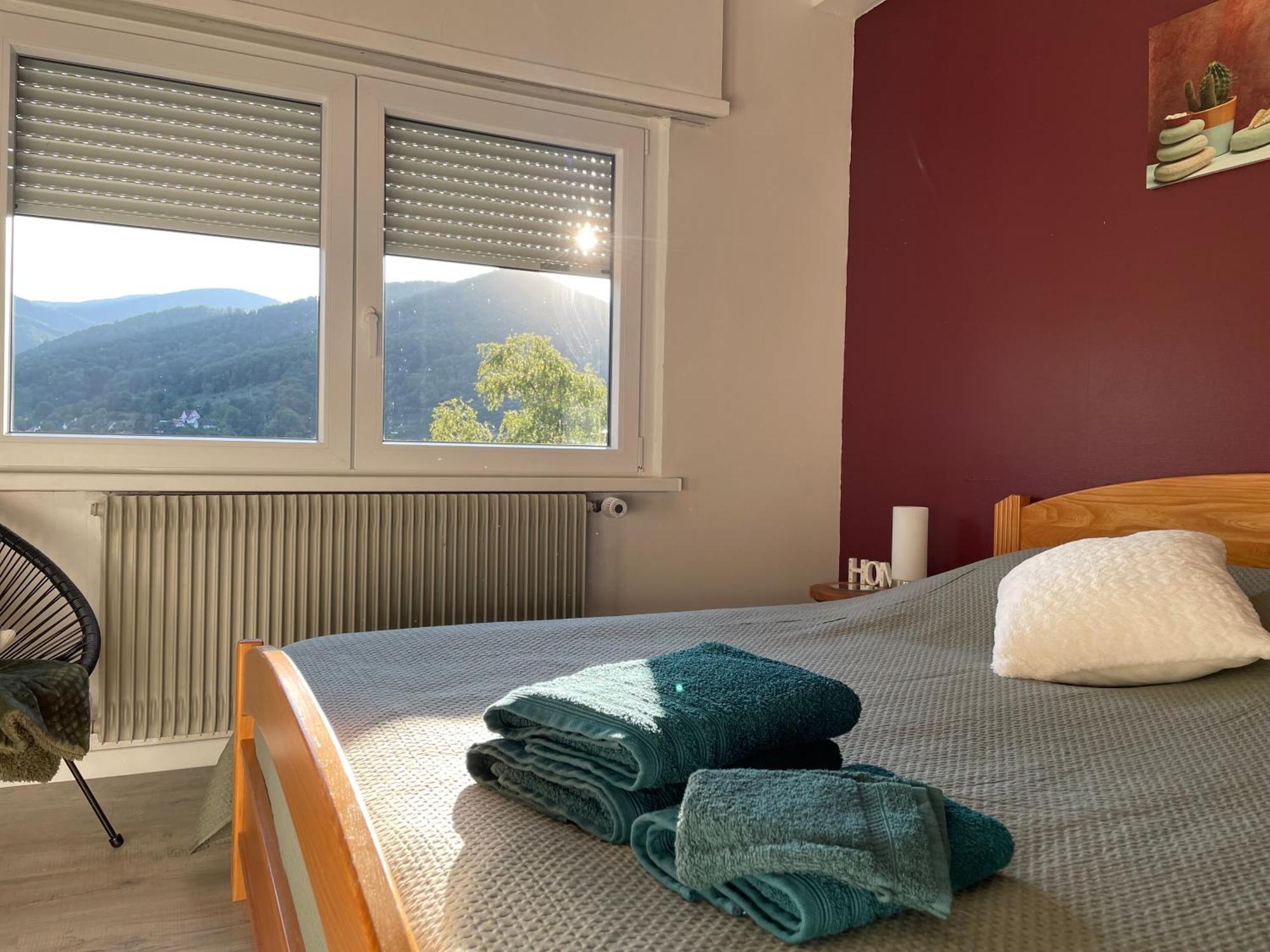 Apartament Au Reposoir - Vue Sur La Montagne Buhl Zewnętrze zdjęcie
